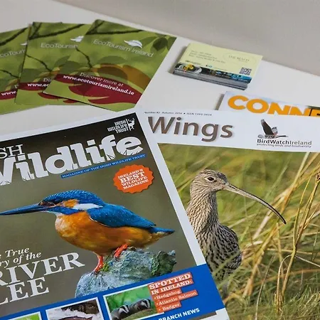 The Beach, Days Bar And Inishbofin